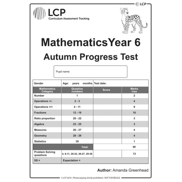 lcp mathematics year 6 autumn progress test